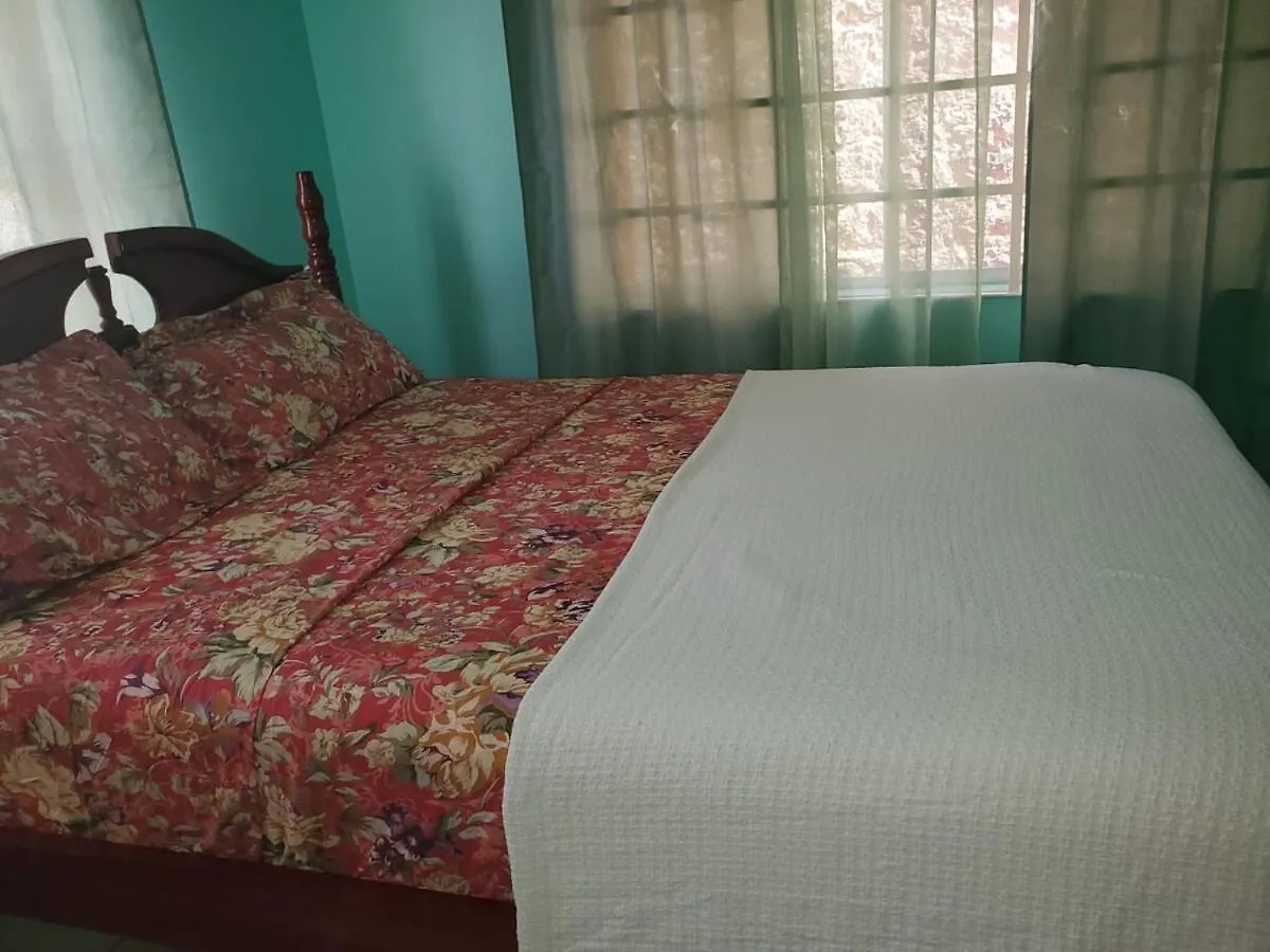 2 Bedroom Ocean View Apartment In Gouyave, Grenada  Gouyave